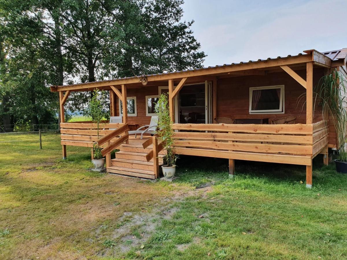 Tiny House Het Reebokje Lägenhet Vriescheloo Exteriör bild
