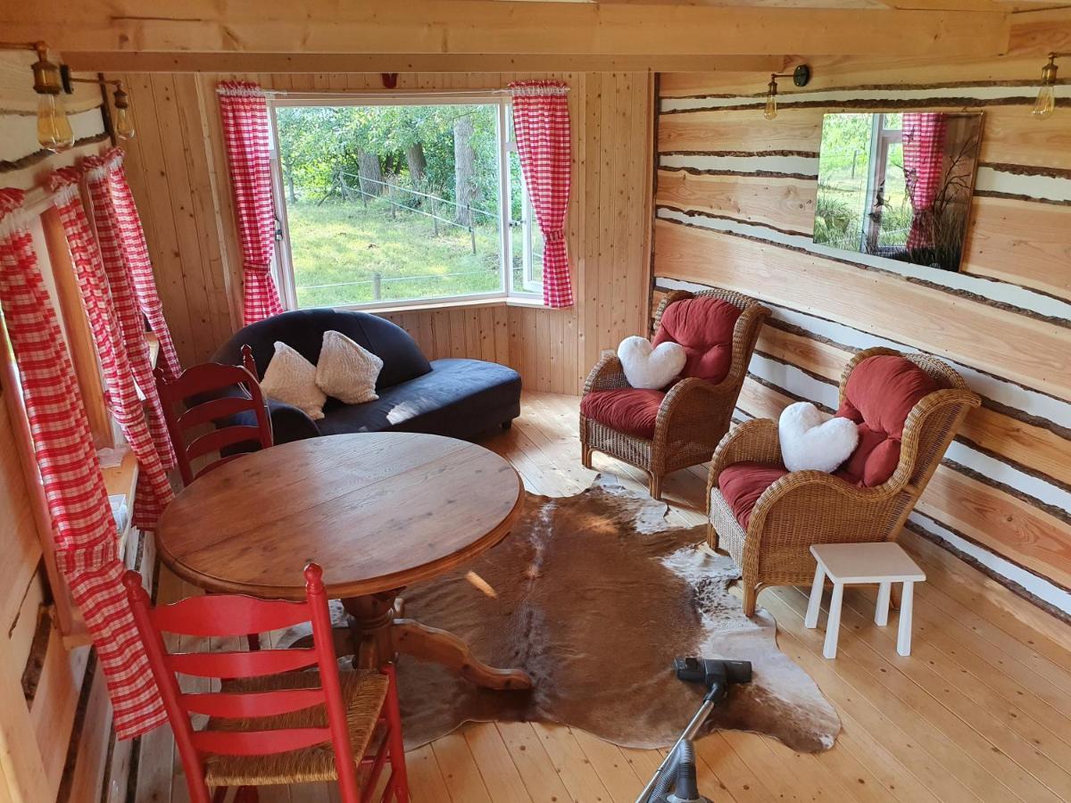 Tiny House Het Reebokje Lägenhet Vriescheloo Exteriör bild
