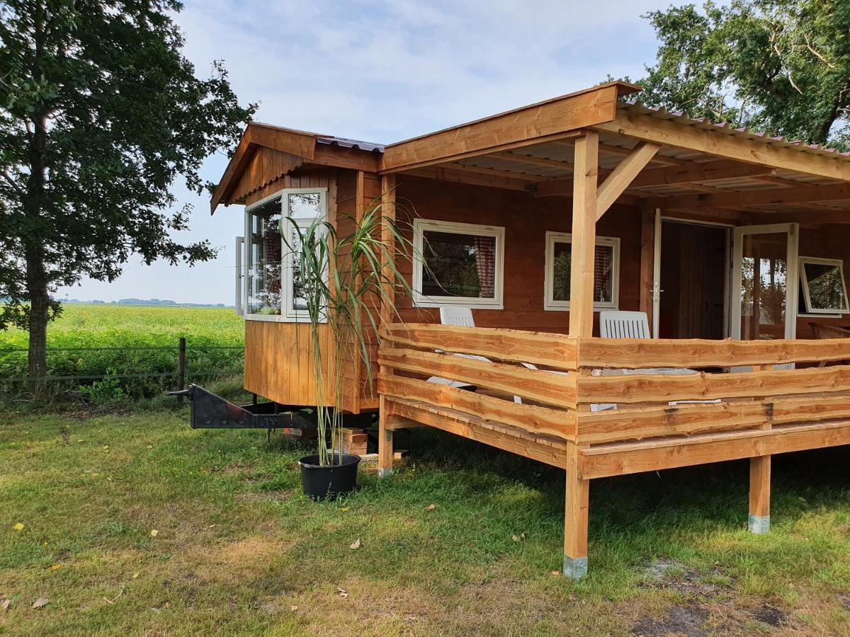 Tiny House Het Reebokje Lägenhet Vriescheloo Exteriör bild