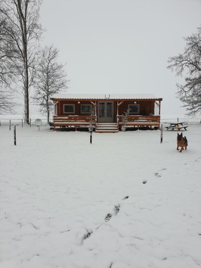 Tiny House Het Reebokje Lägenhet Vriescheloo Exteriör bild