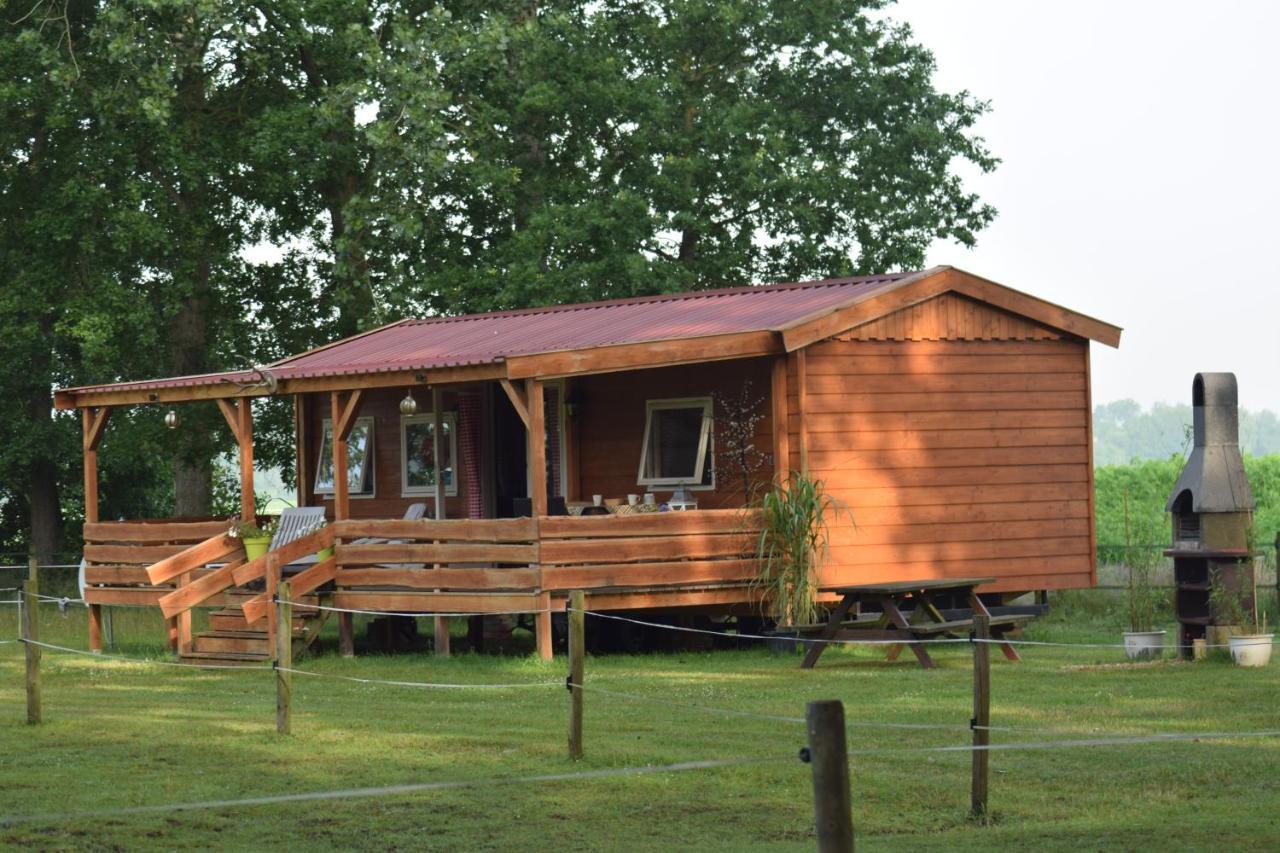 Tiny House Het Reebokje Lägenhet Vriescheloo Exteriör bild
