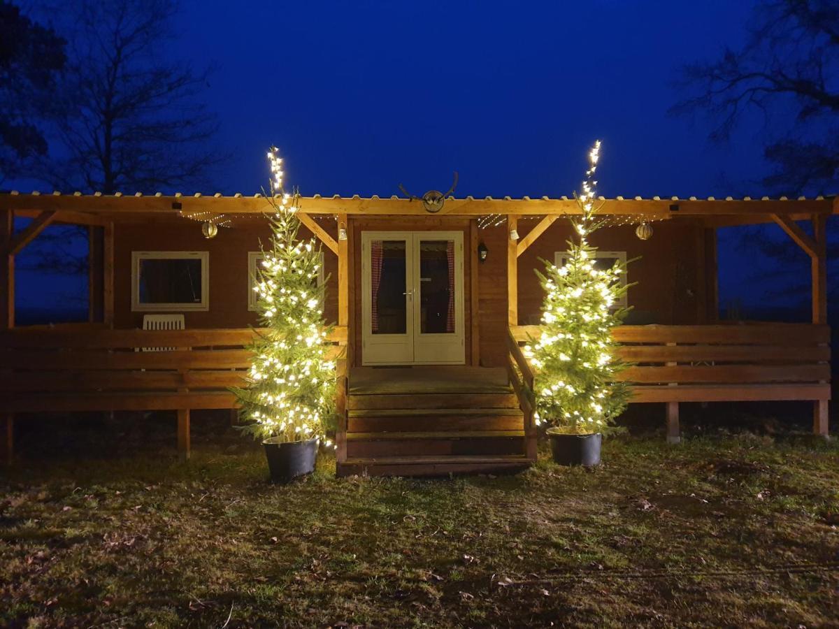 Tiny House Het Reebokje Lägenhet Vriescheloo Exteriör bild