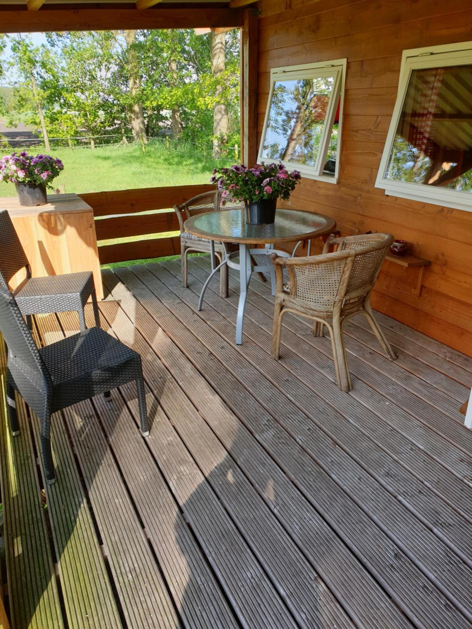 Tiny House Het Reebokje Lägenhet Vriescheloo Exteriör bild